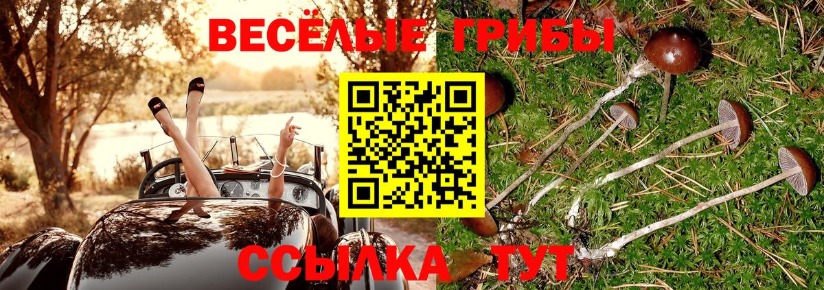 Галлюциногенные грибы Cubensis  Псилоцибиновые грибы ЛСД  Мирный  Вход с VPN 